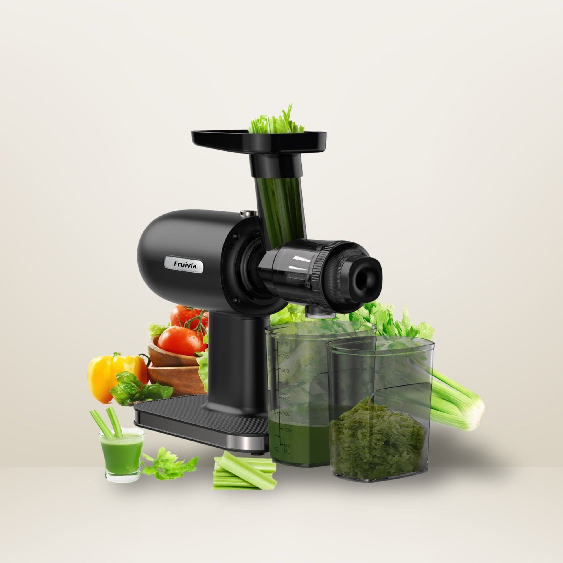 Extracteur de jus pro - Slow Juicer avec fonction inverse