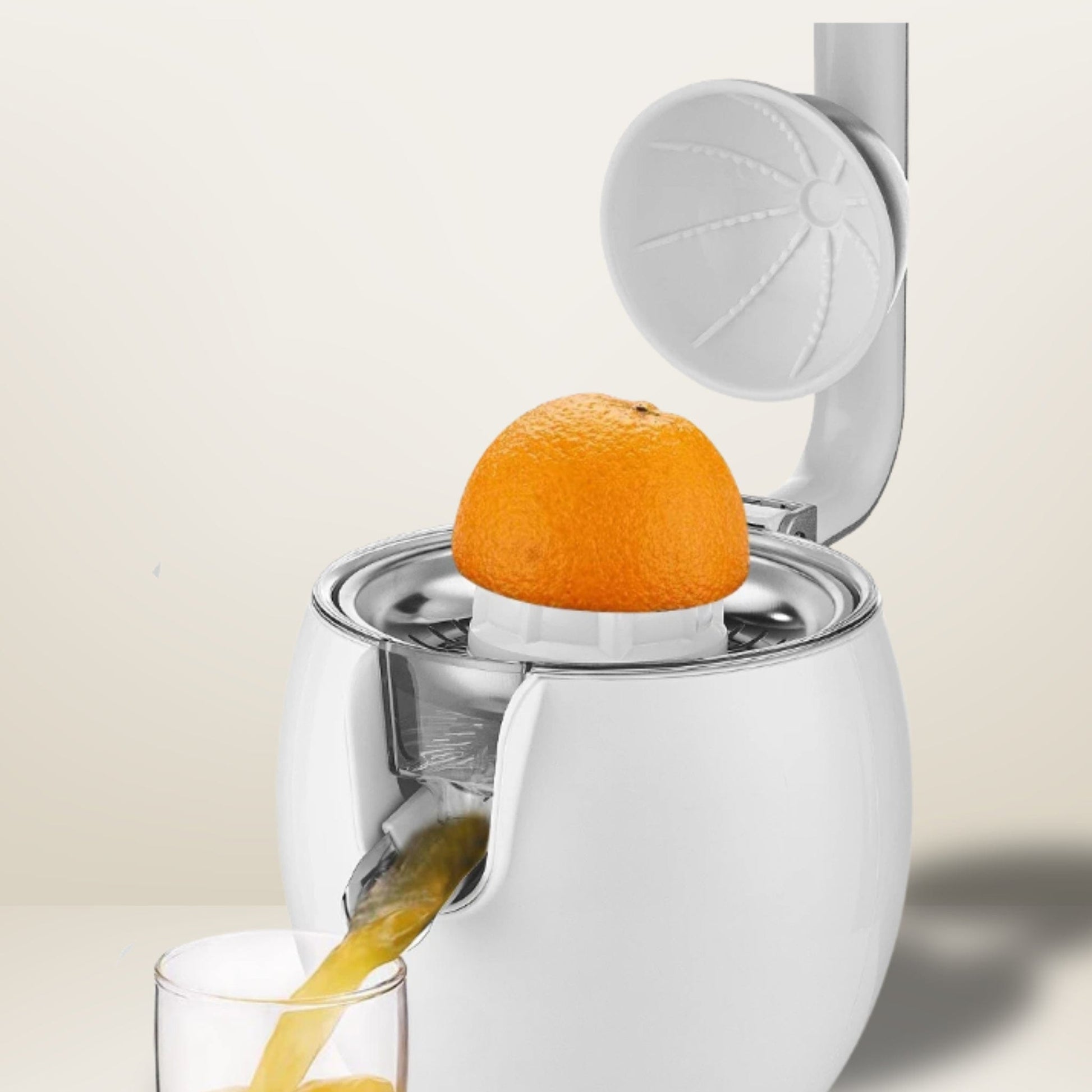 Presse Agrume Professionnel - Extraction Rapide & Efficace